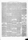 Kenilworth Advertiser Saturday 17 March 1877 Page 5