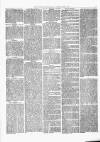 Kenilworth Advertiser Saturday 02 June 1877 Page 3