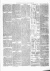 Kenilworth Advertiser Saturday 02 June 1877 Page 5