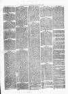 Kenilworth Advertiser Saturday 09 June 1877 Page 6