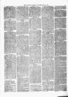 Kenilworth Advertiser Saturday 21 July 1877 Page 3