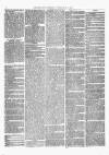 Kenilworth Advertiser Saturday 21 July 1877 Page 6
