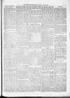 Kenilworth Advertiser Saturday 20 April 1878 Page 7