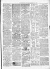 Kenilworth Advertiser Saturday 11 May 1878 Page 3