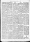 Kenilworth Advertiser Saturday 18 May 1878 Page 5