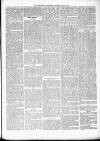 Kenilworth Advertiser Saturday 25 May 1878 Page 5