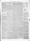 Kenilworth Advertiser Saturday 15 June 1878 Page 5