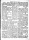 Kenilworth Advertiser Saturday 27 July 1878 Page 5