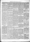 Kenilworth Advertiser Saturday 17 August 1878 Page 5