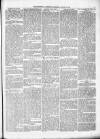 Kenilworth Advertiser Saturday 17 August 1878 Page 7