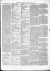 Kenilworth Advertiser Saturday 24 August 1878 Page 7