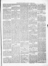 Kenilworth Advertiser Saturday 12 October 1878 Page 5
