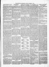 Kenilworth Advertiser Saturday 07 December 1878 Page 5