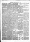 Kenilworth Advertiser Saturday 04 January 1879 Page 5