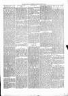 Kenilworth Advertiser Saturday 02 August 1879 Page 3