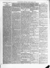 Kenilworth Advertiser Saturday 03 January 1880 Page 3