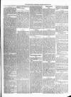Kenilworth Advertiser Saturday 20 March 1880 Page 5