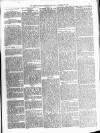 Kenilworth Advertiser Saturday 13 November 1880 Page 3