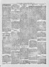 Kenilworth Advertiser Saturday 12 March 1881 Page 5