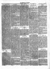 Kenilworth Advertiser Saturday 09 April 1881 Page 3