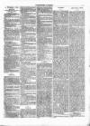 Kenilworth Advertiser Saturday 25 June 1881 Page 3