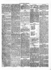 Kenilworth Advertiser Saturday 23 July 1881 Page 5