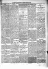 Kenilworth Advertiser Saturday 24 January 1885 Page 5