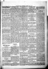 Kenilworth Advertiser Saturday 09 May 1885 Page 5