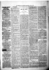 Kenilworth Advertiser Saturday 04 July 1885 Page 3