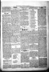 Kenilworth Advertiser Saturday 18 July 1885 Page 5