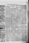 Kenilworth Advertiser Saturday 15 August 1885 Page 3