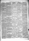 Kenilworth Advertiser Saturday 07 November 1885 Page 5