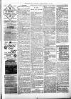 Kenilworth Advertiser Saturday 20 February 1886 Page 3