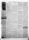 Kenilworth Advertiser Saturday 19 June 1886 Page 3