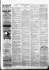 Kenilworth Advertiser Saturday 07 August 1886 Page 3