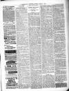 Kenilworth Advertiser Saturday 26 March 1887 Page 3