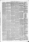 Kenilworth Advertiser Saturday 02 June 1888 Page 3