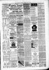 Kenilworth Advertiser Saturday 16 June 1888 Page 7
