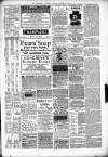Kenilworth Advertiser Saturday 12 January 1889 Page 7