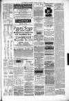 Kenilworth Advertiser Saturday 26 January 1889 Page 7