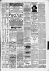Kenilworth Advertiser Saturday 20 April 1889 Page 7