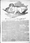 Kenilworth Advertiser Saturday 01 March 1890 Page 7
