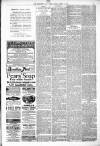 Kenilworth Advertiser Saturday 08 March 1890 Page 3