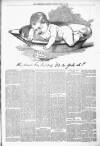 Kenilworth Advertiser Saturday 15 March 1890 Page 7