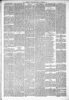 Kenilworth Advertiser Saturday 22 March 1890 Page 5