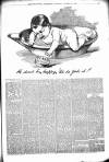 Kenilworth Advertiser Saturday 17 October 1891 Page 7