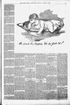 Kenilworth Advertiser Saturday 05 March 1892 Page 7