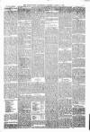 Kenilworth Advertiser Saturday 04 March 1893 Page 5
