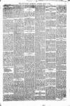 Kenilworth Advertiser Saturday 08 April 1893 Page 5