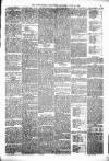 Kenilworth Advertiser Saturday 24 June 1893 Page 5
